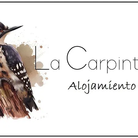 “la Carpinteria” *